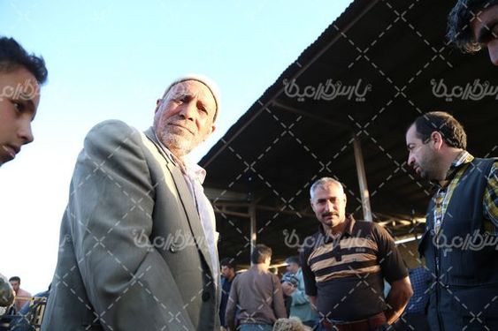 عکس با کیفیت بازارگوسفند