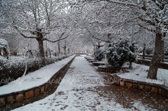 بش قارداش برفی