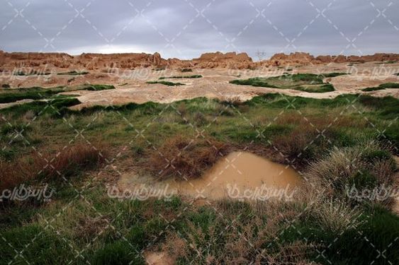 بلقیس اسفراین