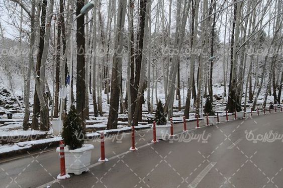 تصویر با کیفیت زمستان