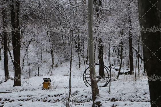 تصویر با کیفیت زمستان