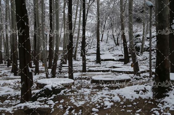 تصویر با کیفیت زمستان