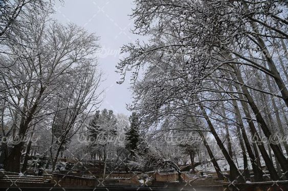 چشم انداز زمستانی