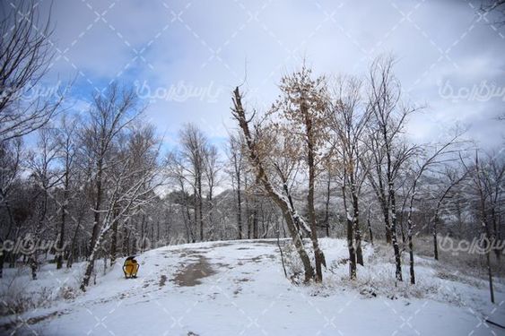 تصویر با کیفیت فصل زمستان