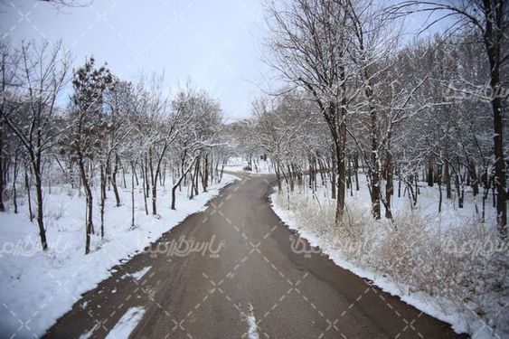 تصویر با کیفیت فصل زمستان