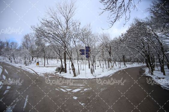 تصویر با کیفیت فصل زمستان