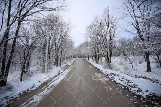 تصویر با کیفیت فصل زمستان