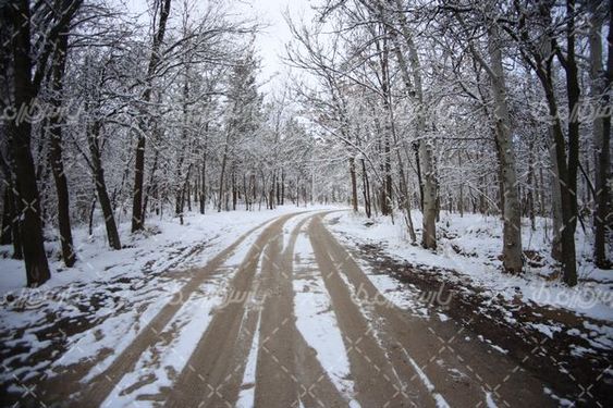 تصویر با کیفیت فصل زمستان