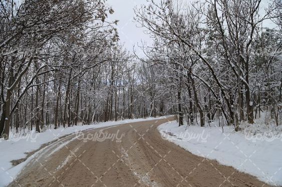 تصویر با کیفیت منظره برفی