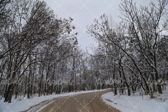 تصویر با کیفیت منظره برفی