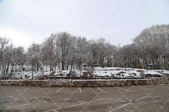 تصویر با کیفیت منظره برفی