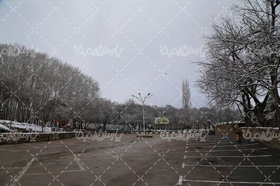 تصویر با کیفیت برف