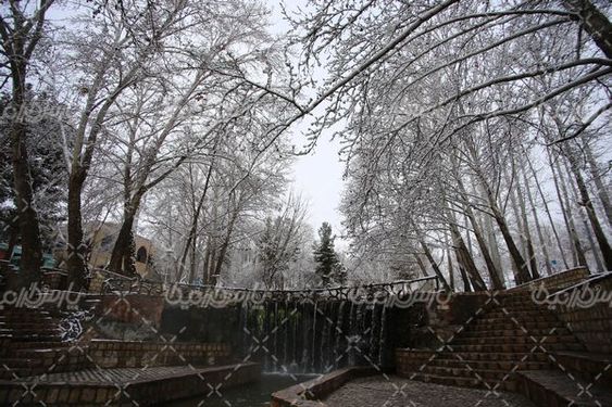 تصویر با کیفیت برف