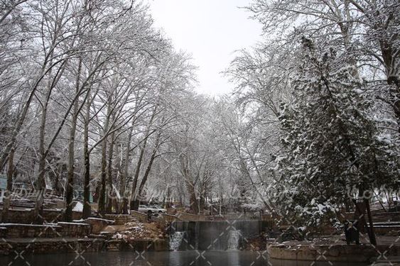 طبیعت زمستانی