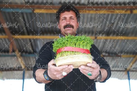 بازار هفتگی