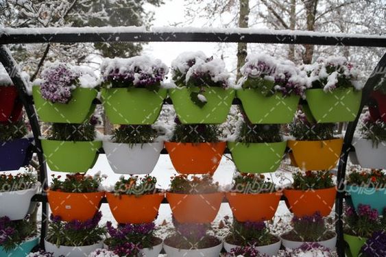 تصویر با کیفیت زمستان