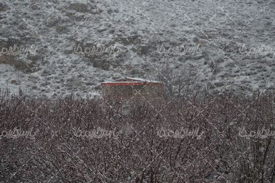 تصویر با کیفیت زمستان