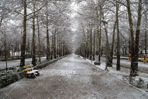 تصویر با کیفیت زمستان
