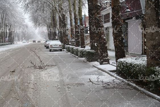 تصویر با کیفیت بارش برف