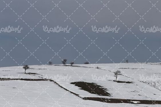 تصویر با کیفیت فصل زمستان