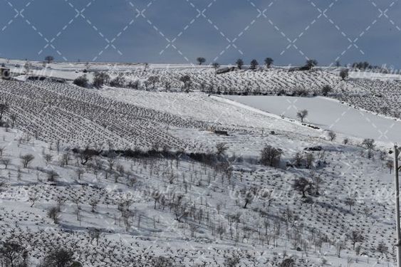 تصویر با کیفیت فصل زمستان