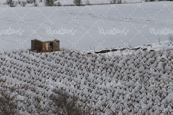 تصویر با کیفیت فصل زمستان
