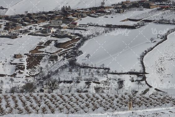 برف زمستانی