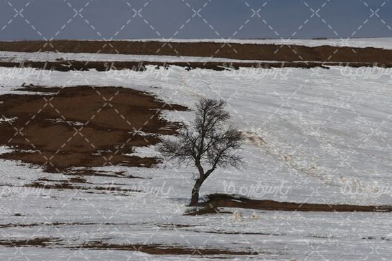 برف زمستانی