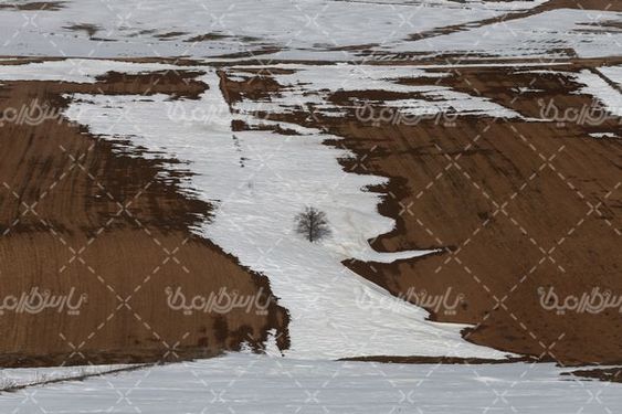 برف زمستانی