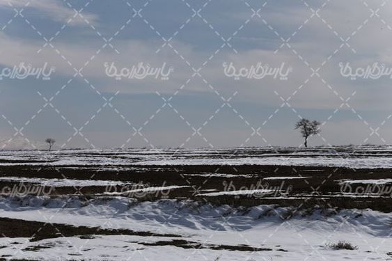 برف زمستانی