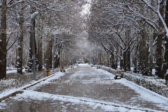 تصویر با کیفیت برف زمستانی