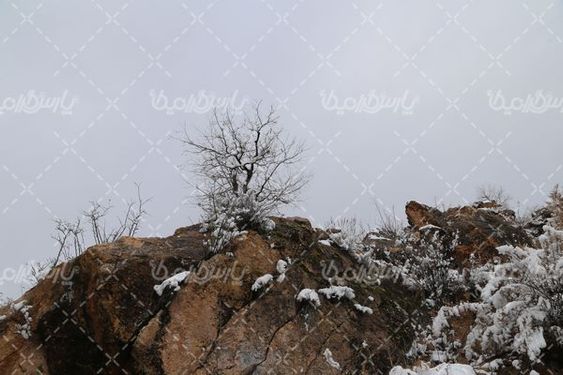 تصویر با کیفیت برف زمستانی