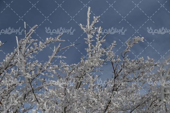 تصویر با کیفیت برف زمستانی