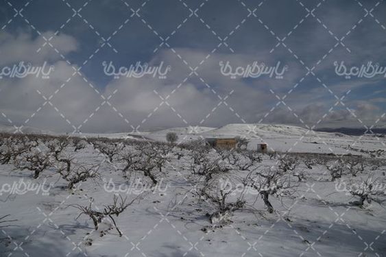 تصویر با کیفیت برف زمستانی