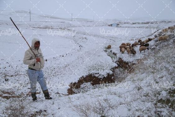 تصویر با کیفیت برف زمستانی