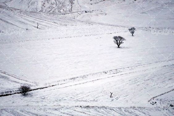 چشم انداز زیبا از برف