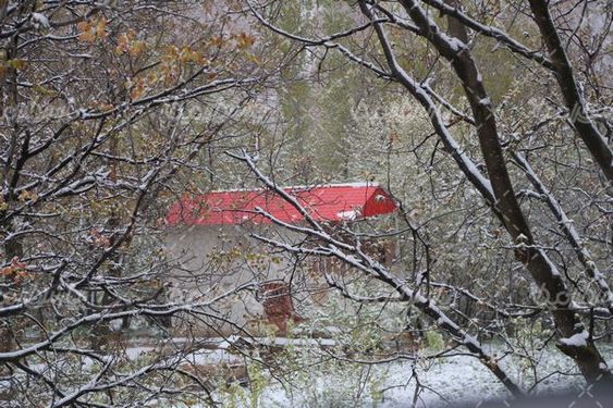 چشم انداز زیبا از برف