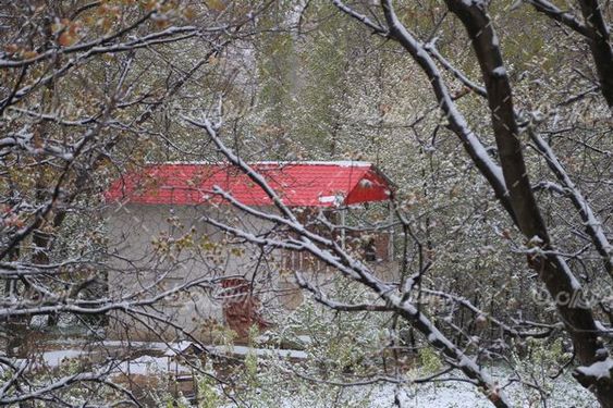 چشم انداز زیبا از برف
