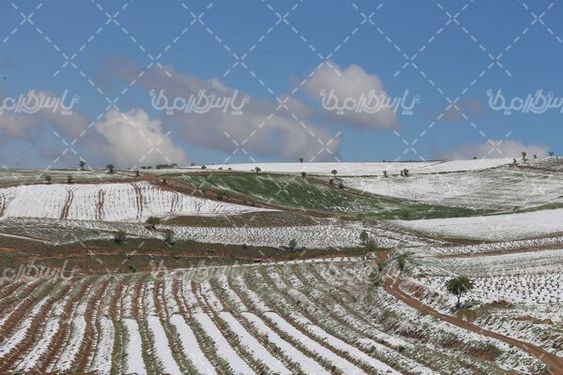 تصویر با کیفیت برف