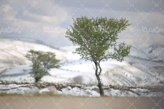 تصویر با کیفیت برف