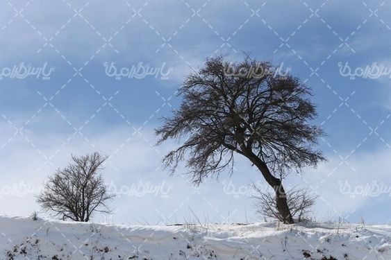 تصویر با کیفیت برف