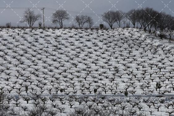 تصویر با کیفیت برف