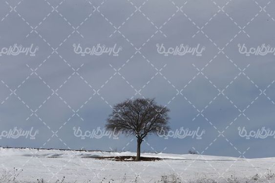 زمستان برفی