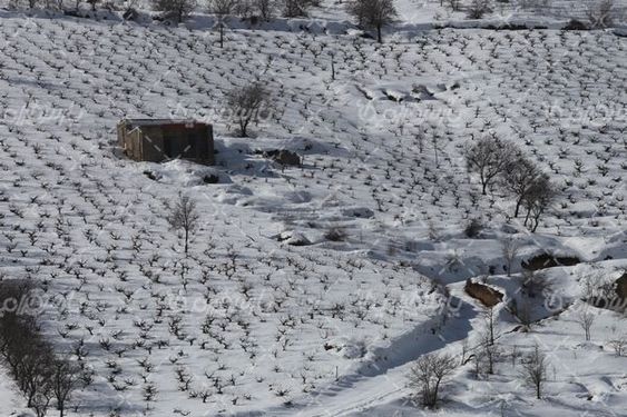 زمستان برفی