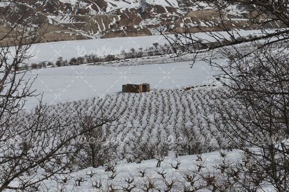 زمستان برفی