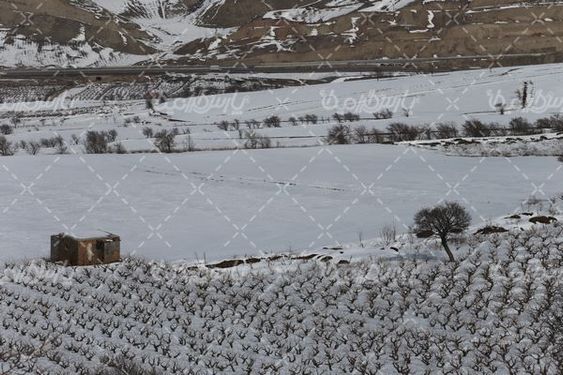 عکاسی از زمستان