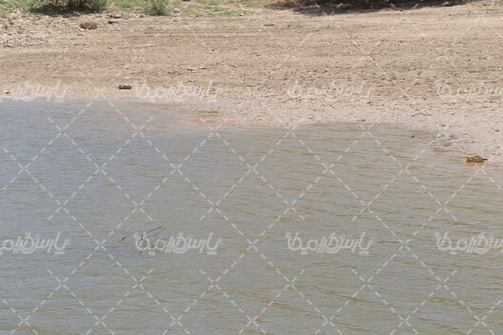 بند خاکی عبدل آباد