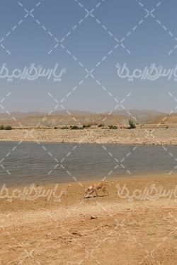 تصویر با کیفیت دریاچه