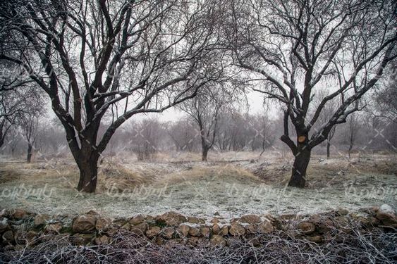 چشم انداز زمستانی