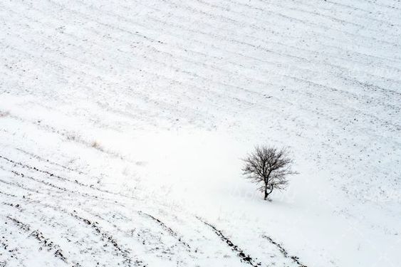 چشم انداز زمستانی